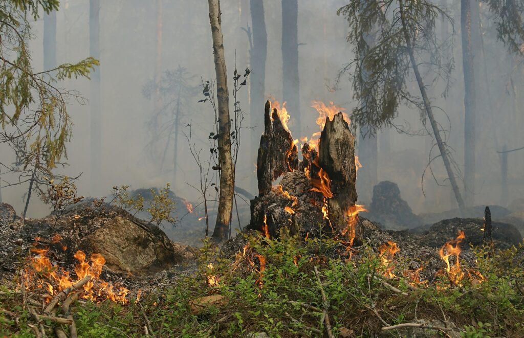 México:Se reportan 106 incendios forestales en 21 estados de México